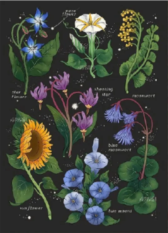 Moodboard image