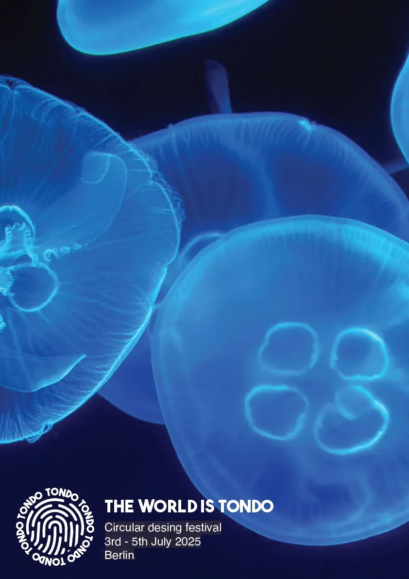 The World is Tondo poster, jellyfish